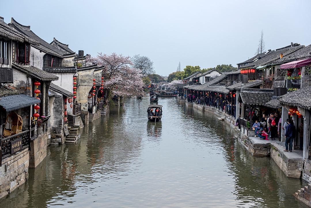 见缝插刀2